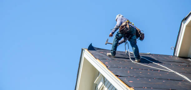 Roof Gutter Cleaning in Clemson, SC